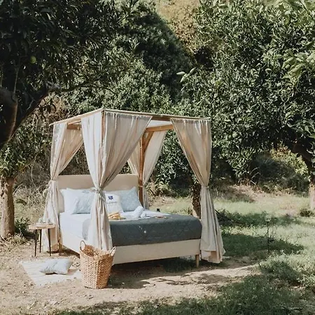 Star Sleep Vryses -orange Grove * Vrísai