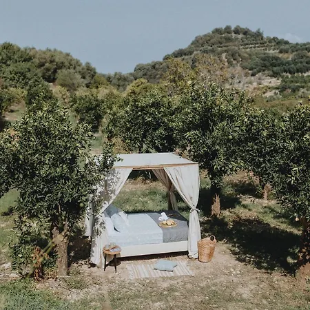 Star Sleep Vryses -orange Grove Glamping